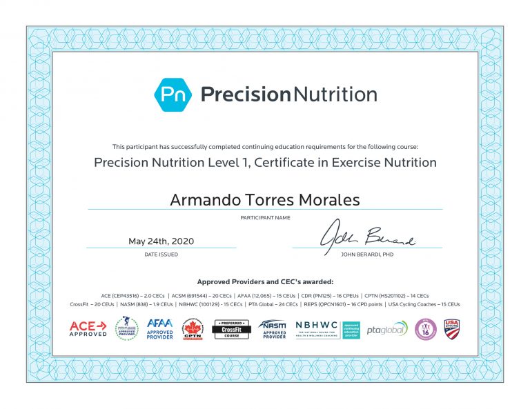 Precision Nutrition Armando Torres Morales L1 Ceu Certification 1 768x593 